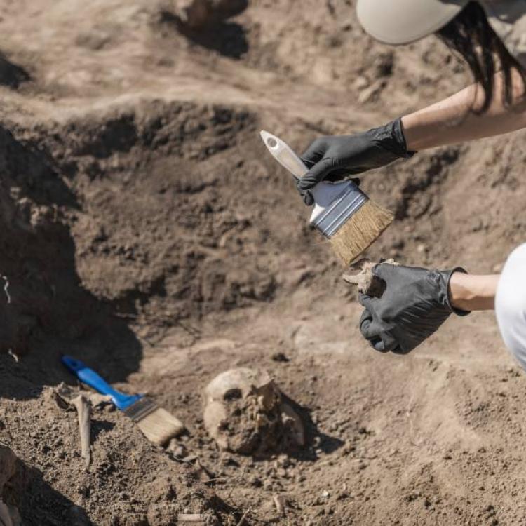 Doctor of Philosophy in Archaeology