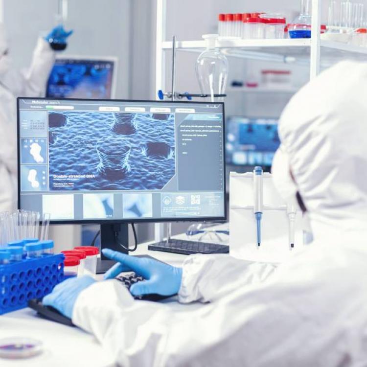 Doctor of Philosophy in Genetics