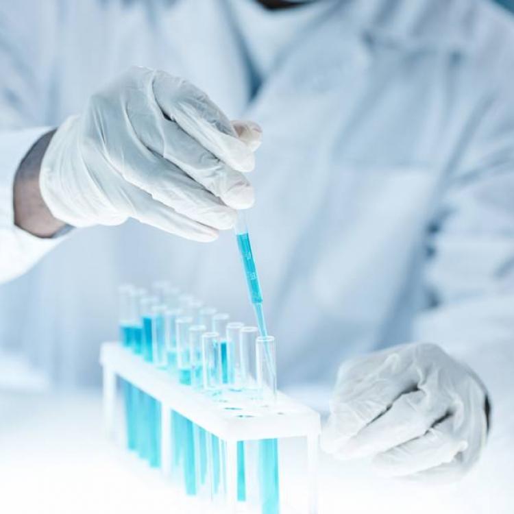 Ph.D Doctor Philosophy in Natural Health Science