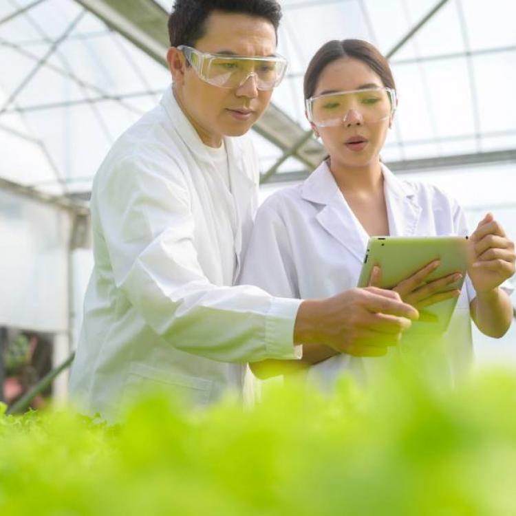 Doctor of Philosophy in Food Science